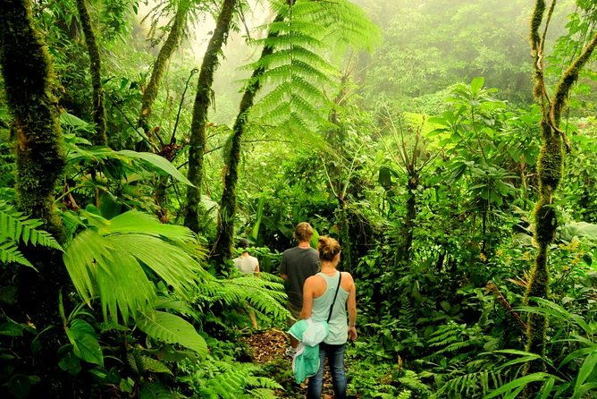 exotic-landscapes-of-costa-rica