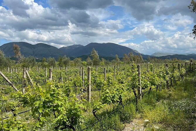 experience-blue-eye-lekuresi-castle-and-taste-traditional-albanian-wine-2