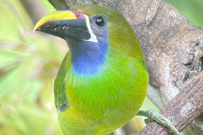 explore-and-learn-on-a-tour-of-the-magic-monteverde-cloud-forest