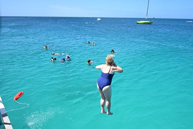 explore-barbados-from-the-sea-with-our-turtle-and-shipwreck-tour
