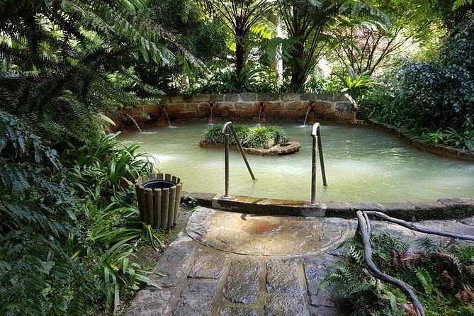 explore-furnas-by-van-full-day-tour-with-lunch-and-thermal-baths