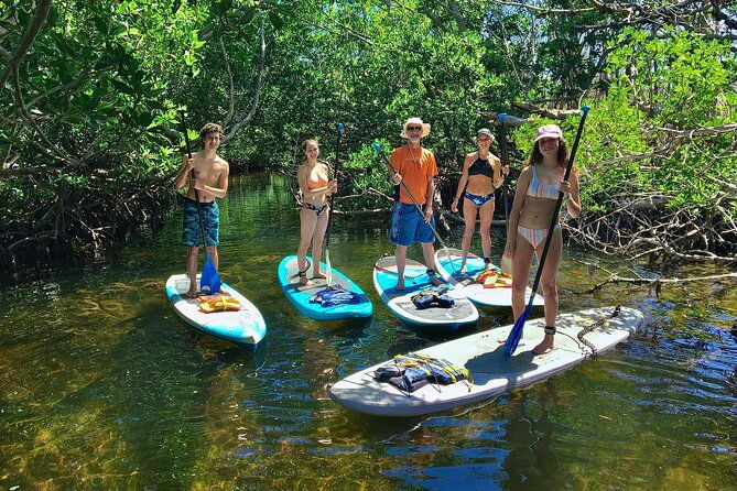 explore-the-mangrove-creeks-with-an-all-day-tandem-kayak-rental-2