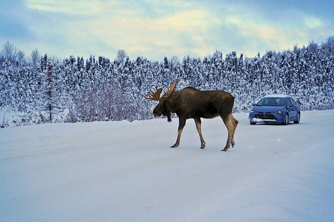 exploring-anchorage-on-winter-sundays