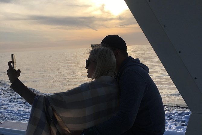 family-and-private-group-whale-and-dolphin-watching