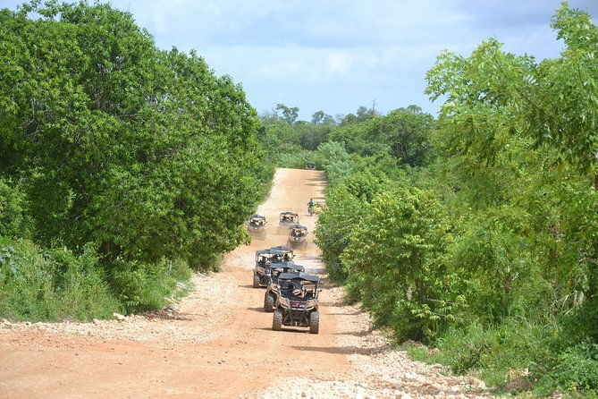 family-buggy-adventures-tours-macao-beach-lowest-price