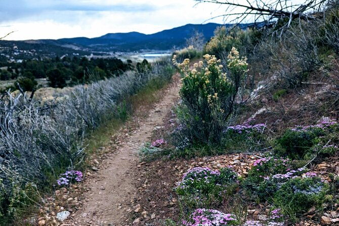 family-friendly-nature-hike-around-the-big-bear-valley-2