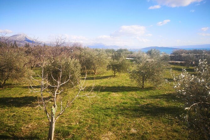 family-run-vineyard-tour-award-winning-wine-tasting-delicacies