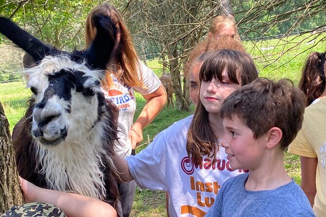 farm-tour-at-clover-brooke-llama-alpaca-goat-farm