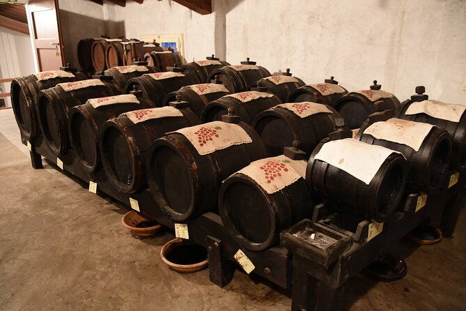 ferrari-parmesan-cheese-balsamic-vinegar-wine-food-private-tour-from-florence