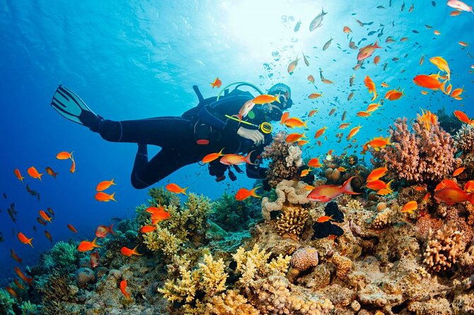 fethiye-scuba-diving-experience-by-a-local-expert