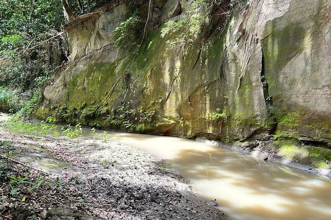 five-hour-day-pass-3-hour-fun-hike-and-challenges-great-experiences-bajan-lunch