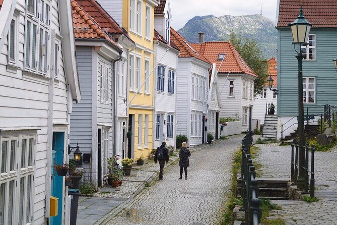 flam-tour-borgund-stave-church-laerdal-stegastein