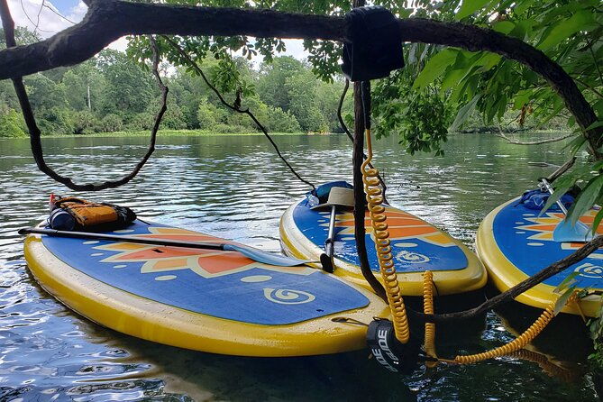 florida-freshwater-springs-paddle-board-tour