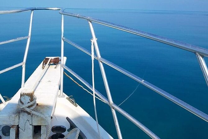 florida-keys-eco-tour-snorkel-kayak-lunch-transportation