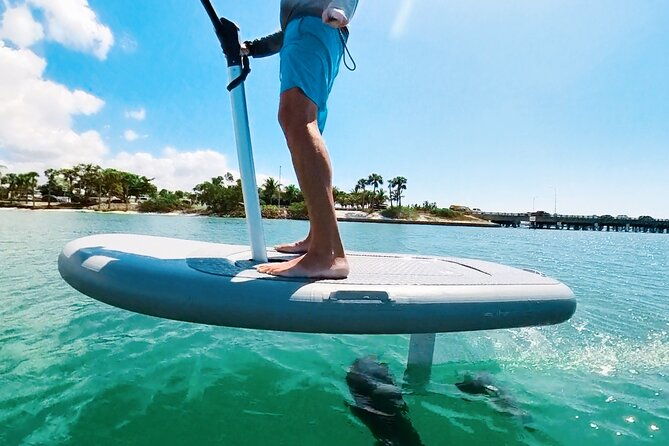fly-above-ocean-adventure-in-sarasota