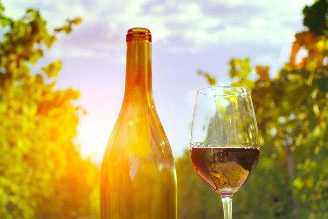 food-tour-excursion-in-provence
