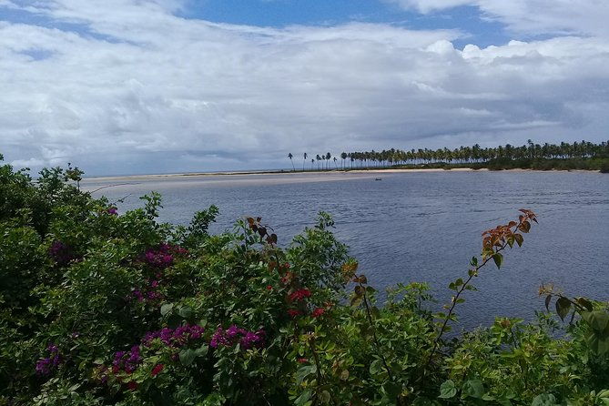 fort-beach-tour-and-tamar-project