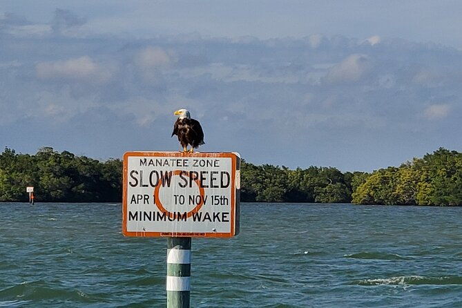fort-myers-beach-dolphin-sightseeing-tour-refreshments-included