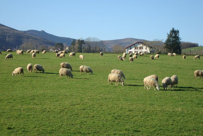 french-basque-countryside-private-tour