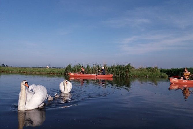 fresh-nose-tour-with-the-canoe-through-the-nature-near-amsterdam