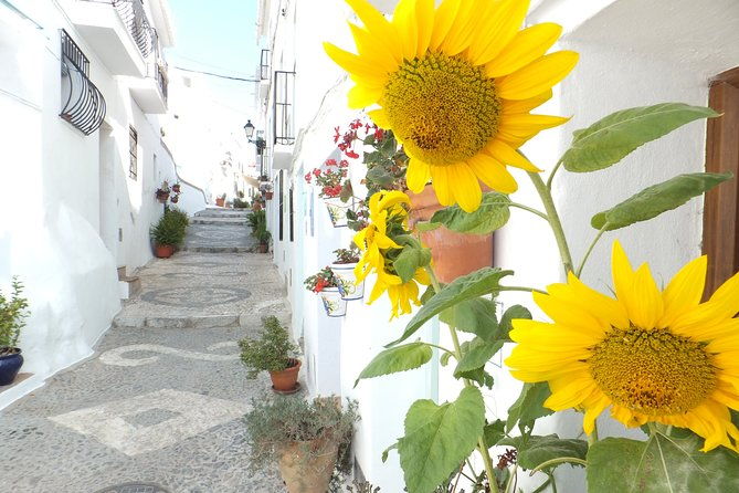 frigiliana-small-group-hike-and-wine-tasting-tour-from-malaga