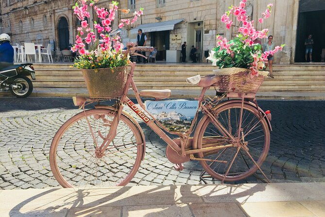 from-brindisi-ostuni-alberobello-and-polignano-a-mare-tour-2