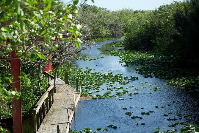from-miami-everglades-airboat-wildlife-show-and-roundtrip-bus