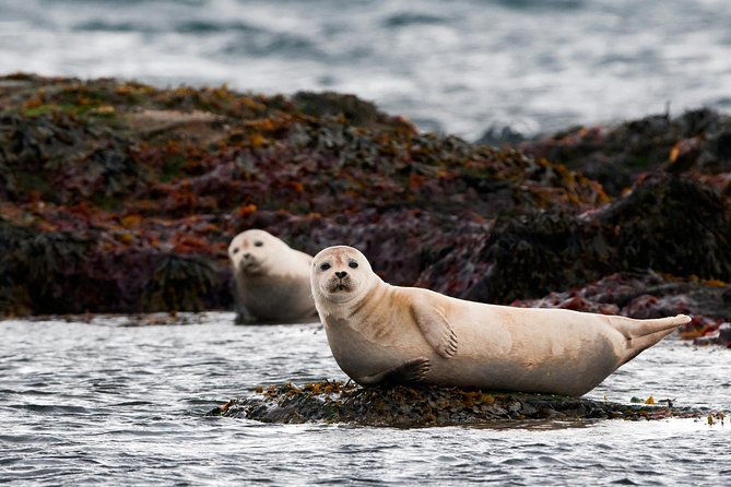 from-reykjavik-4-5-6-or-7-day-small-group-ring-road-tour