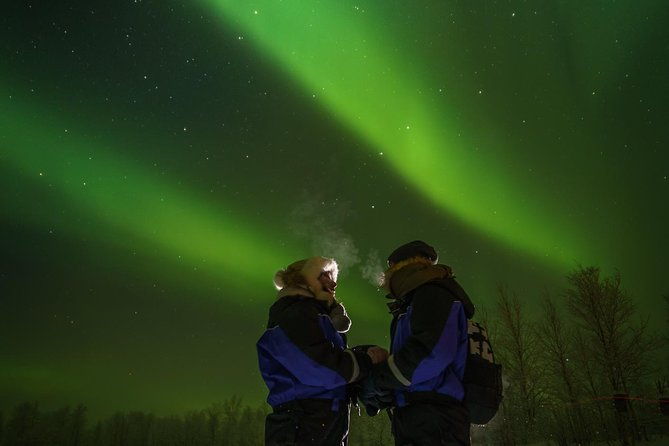 from-saariselka-northern-lights-tour-to-lake-inari-incl-dinner