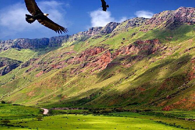 from-salta-full-day-tour-to-cachi-and-los-cardones-national-park