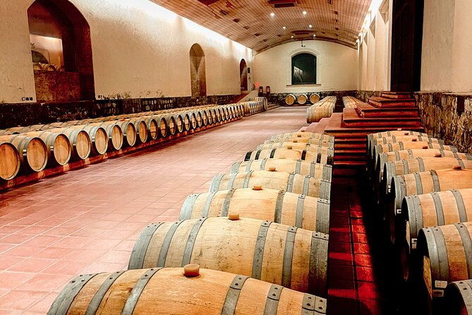 from-santiago-vina-concha-y-toro-marques-half-day-tour