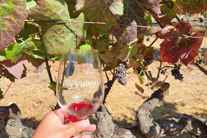 from-sf-napa-and-sonoma-valley-wine-experience-with-3-wineries