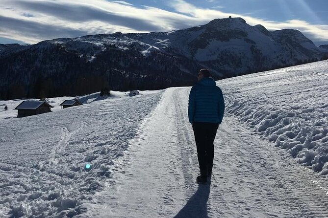 from-verona-area-private-day-trip-to-the-dolomites