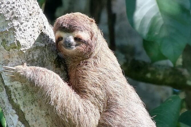 full-day-adventure-in-corcovado-national-park-from-drake-bay
