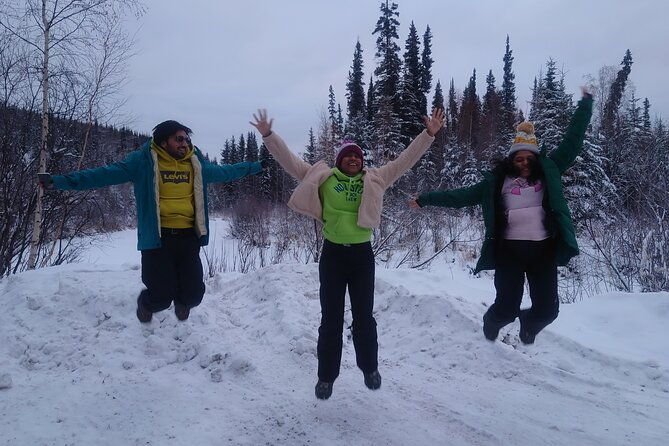 full-day-arctic-circle-tour