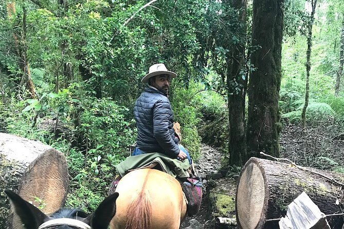 full-day-cayutue-horse-ride