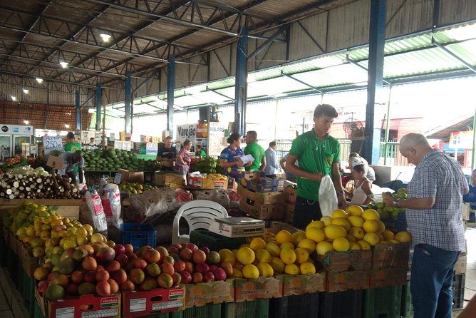 full-day-city-tour-in-manaus-old-town-and-the-botanic-garden-musa