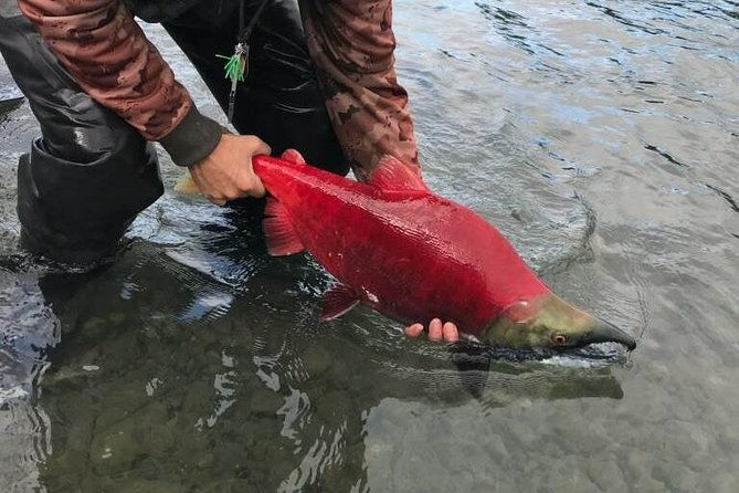 full-day-fishing-trips