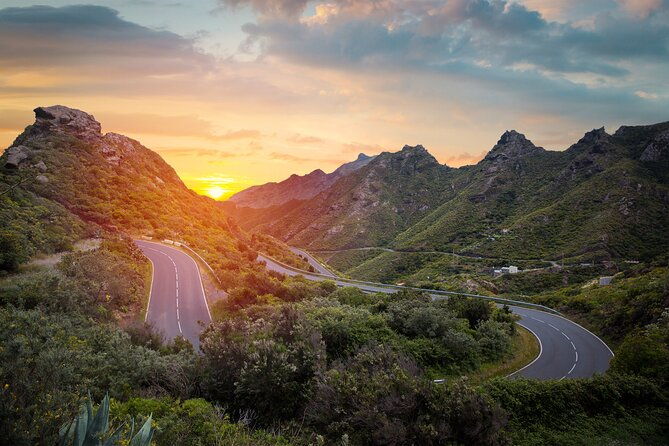 full-day-guided-tour-of-teide-by-cabrio-bus
