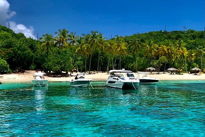 full-day-luxury-catamaran-turtle-snorkel-and-beach-getaway
