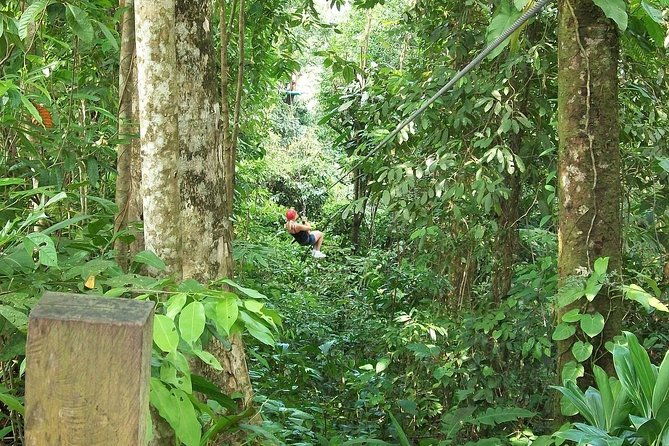 full-day-mindo-magical-town-tour
