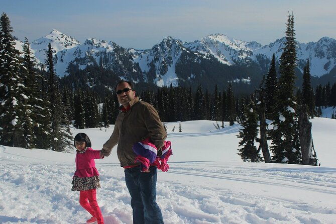 full-day-mt-rainier-national-park-private-tour-in-suv