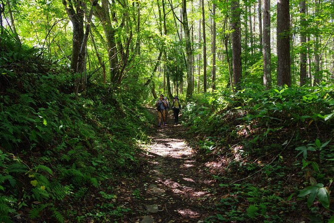full-day-north-nagano-hiking-experience