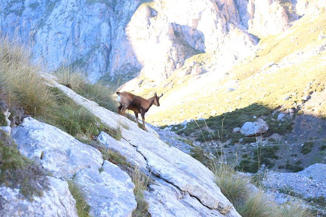 full-day-private-4wd-tour-from-santander-to-picos-de-europa-excellent-meals