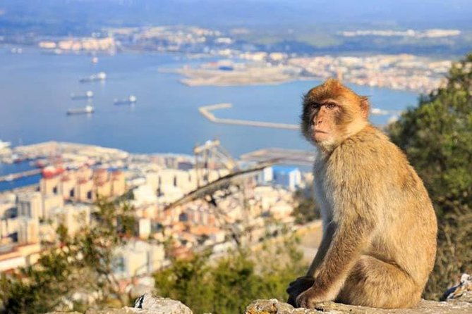 full-day-private-guided-historic-tour-of-gibraltar-from-cadiz