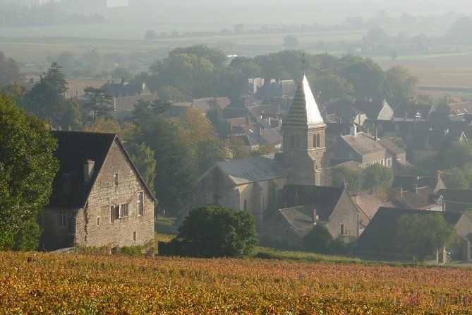 full-day-private-tour-10-premiers-grands-crus-the-best-of-burgundy