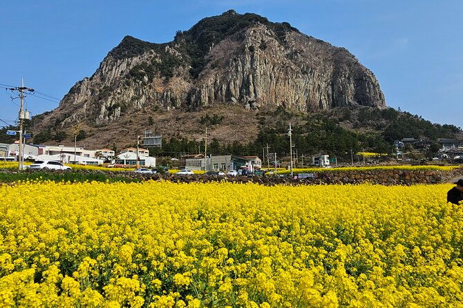 full-day-private-tour-in-jeju-island