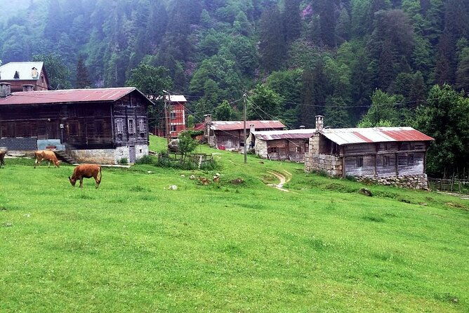 full-day-private-tour-to-ayder-plateau-from-trabzon-2