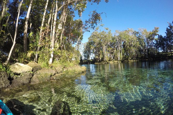 full-day-single-kayak-rental-in-crystal-river
