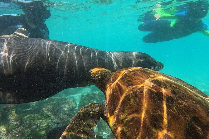 full-day-snorkeling-tour-santa-fe-island-and-playa-escondida